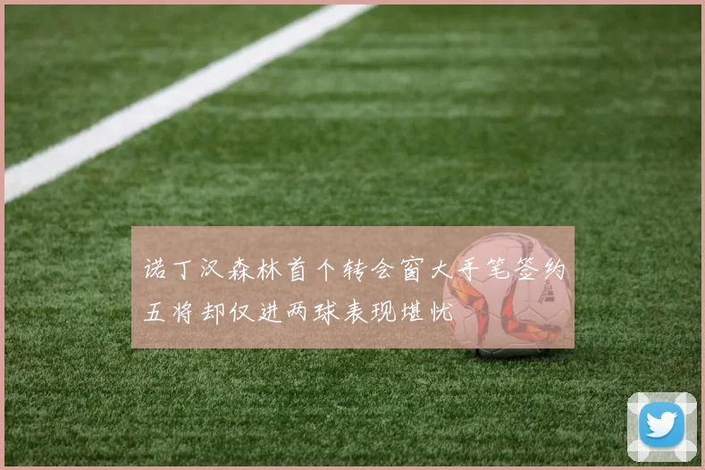 诺丁汉森林首个转会窗大手笔签约五将却仅进两球表现堪忧