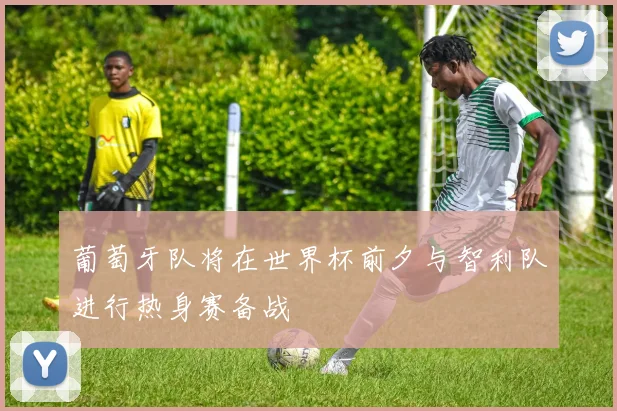 葡萄牙队将在世界杯前夕与智利队进行热身赛备战