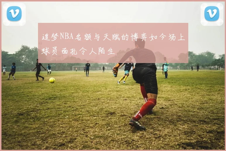 追梦NBA名额与天赋的博弈如今场上球员面孔令人陌生