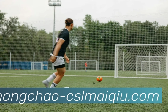 中超买球平台生态图